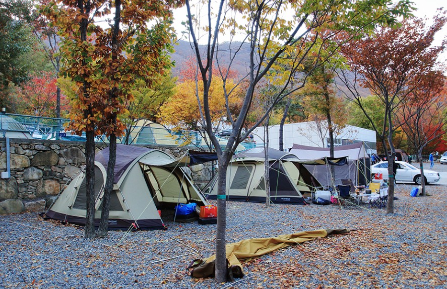 문복산캠핑장 이미지 1