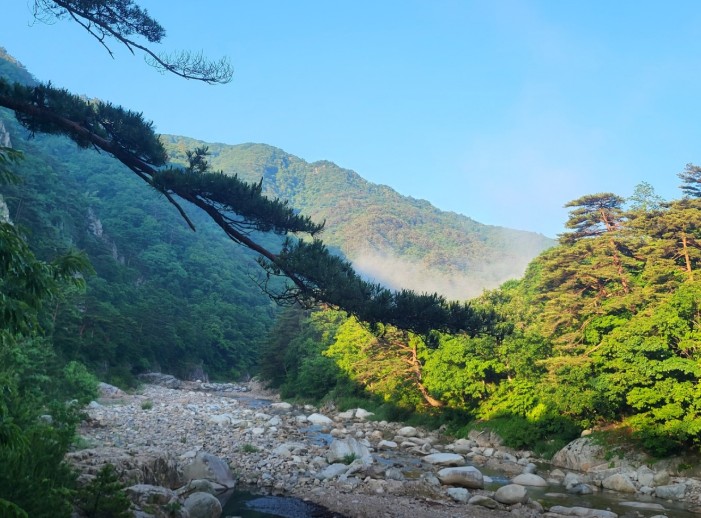 오색장군바위오토캠핑장 이미지 6