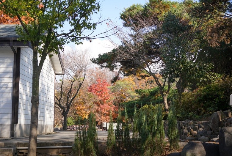 무릉관광농원 이미지 4