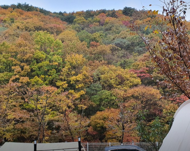 오솔길오토캠핑장 이미지 2