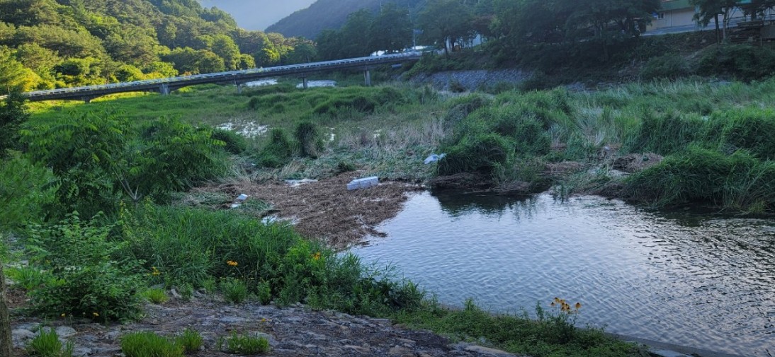 영월 가자 캠핑장 이미지 4