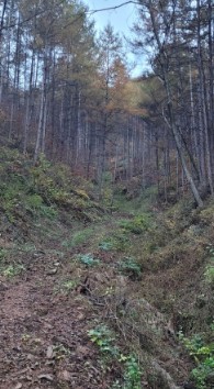 늘솔길 이미지 8