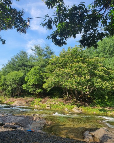 영월 밤골야영장 캠핑장 이미지 4