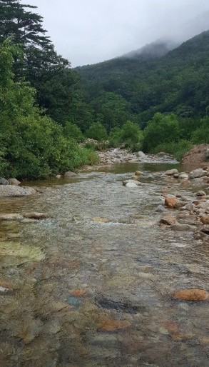 오색산새소리캠핑장 이미지 3