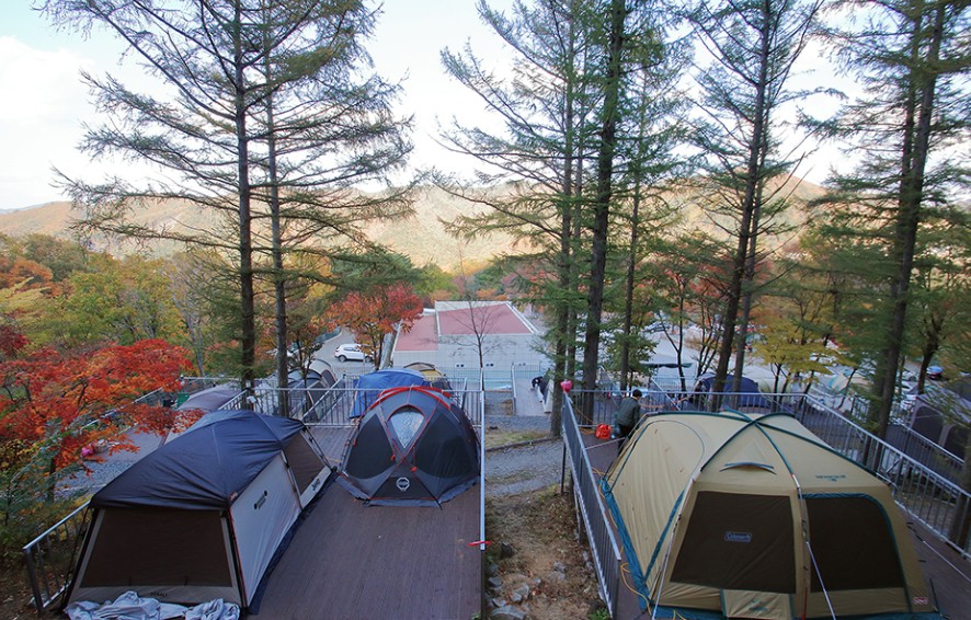 문복산캠핑장 이미지 3