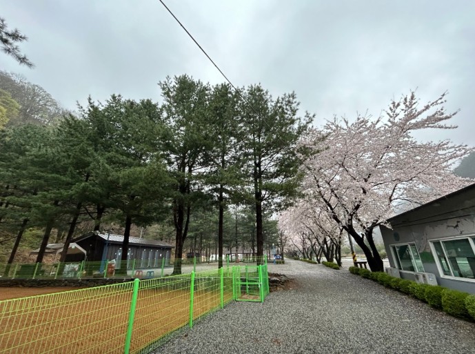 오색허브농원 캠핑장 이미지 6