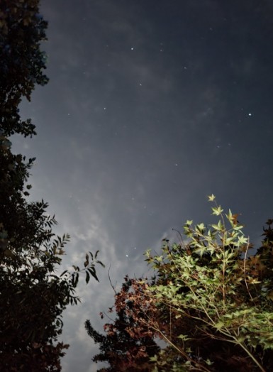 강촌포도펜션 오토캠핑장 이미지 2