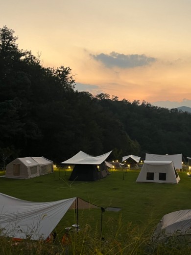 우드로더 이미지 6