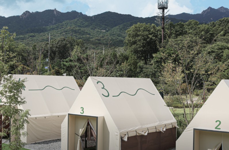 무수아취 이미지 2