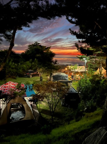 검디관광농원 캠핑장 이미지 1