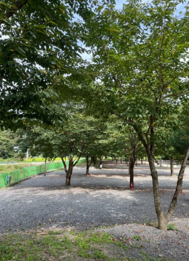 곤달비캠프 이미지 3