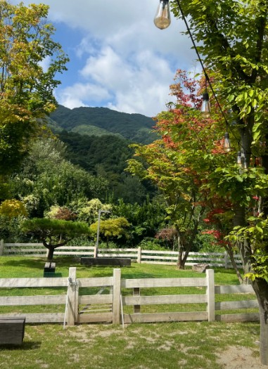 대구 라운드힐905 이미지 3