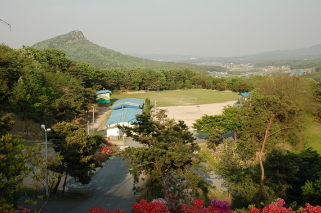 황새울관광농원오토캠핑장 이미지 1