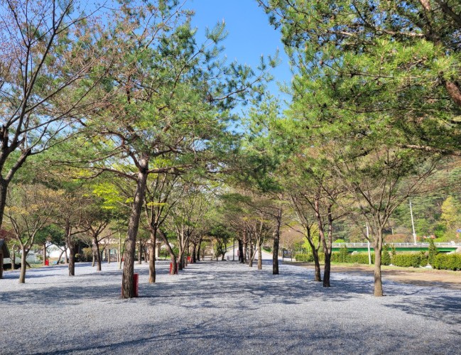 영월 청산캠프 이미지 6