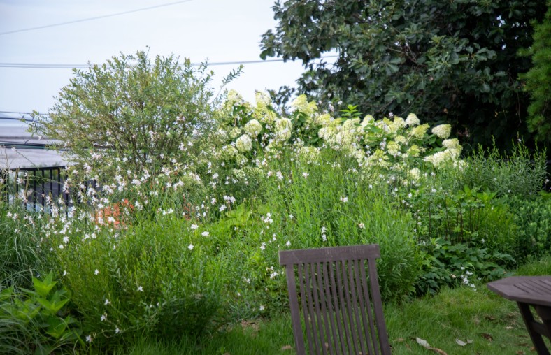 덕풍계곡 캠핑장 이미지 6