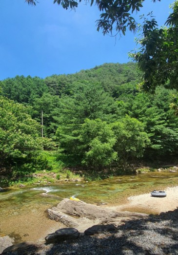 영월 밤골야영장 캠핑장 이미지 3