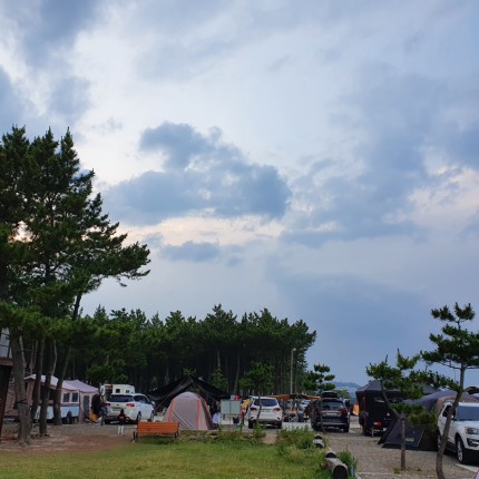 양양 낙산해변송림야영장 이미지 7