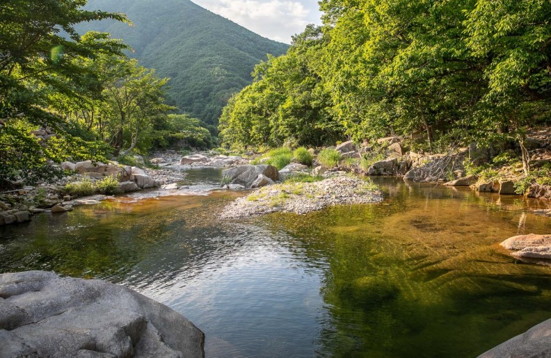 산내자연캠프 이미지 5