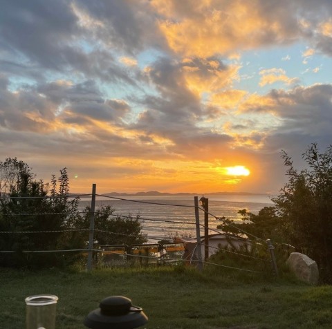 검디관광농원 캠핑장 이미지 2