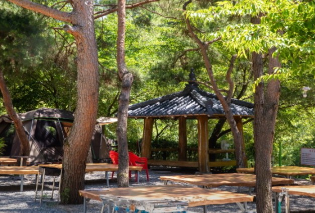 동산계곡펜션오토캠핑장 이미지 8