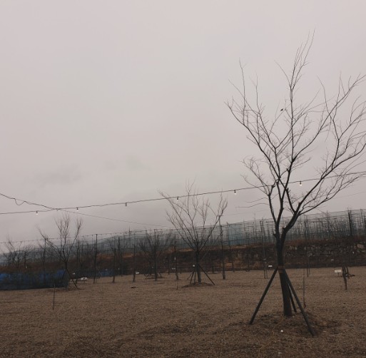 경안글로브 이미지 5