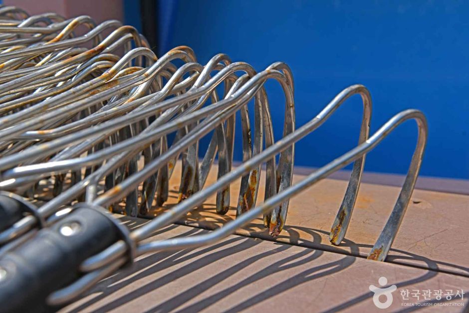 모항갯벌체험장 이미지 6