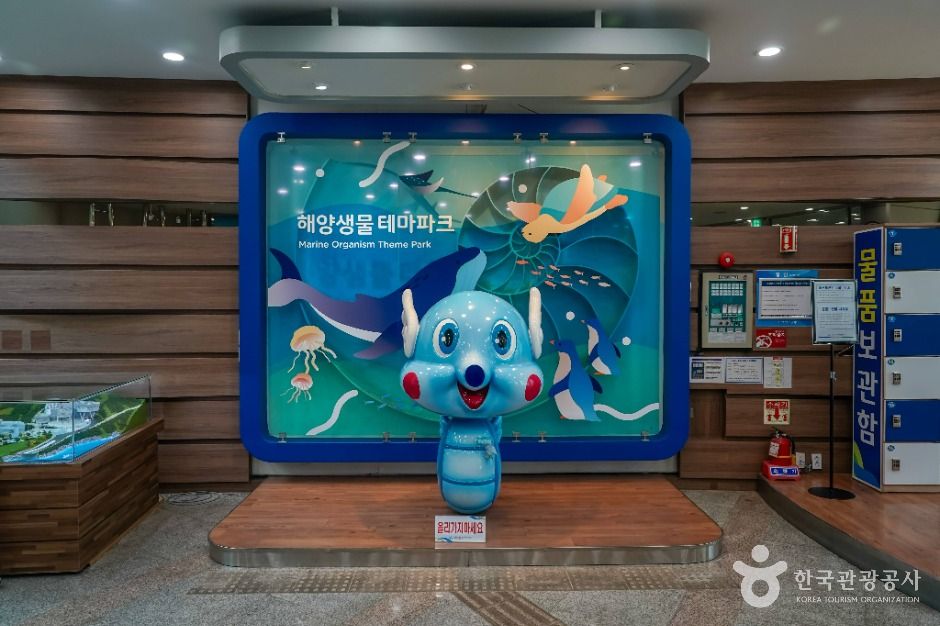 창원 해양생물테마파크 이미지 5