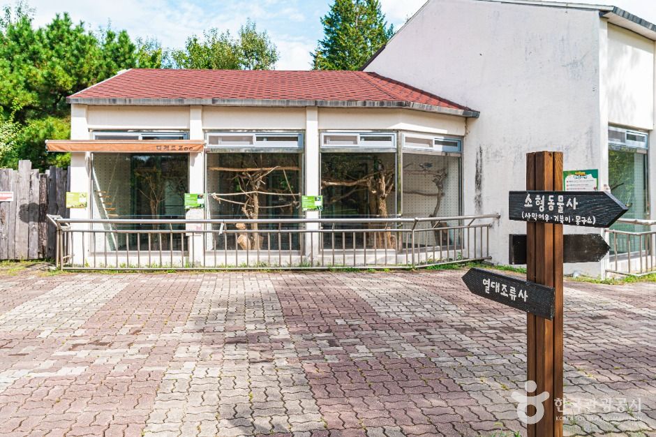 전주동물원 이미지 4