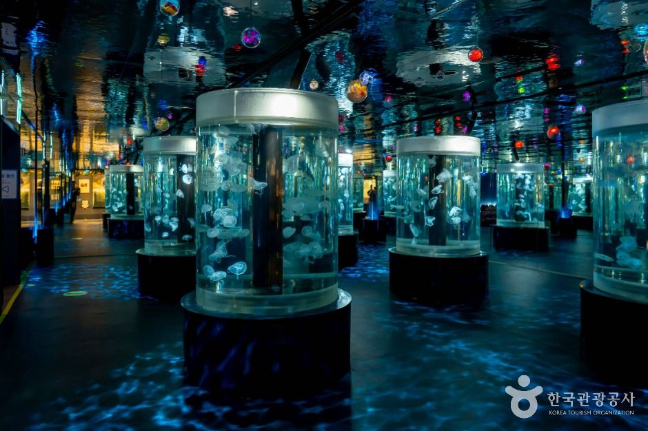 아쿠아플라넷 광교 이미지 5