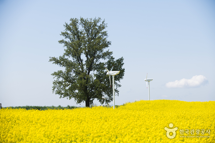 안성팜랜드 이미지 3