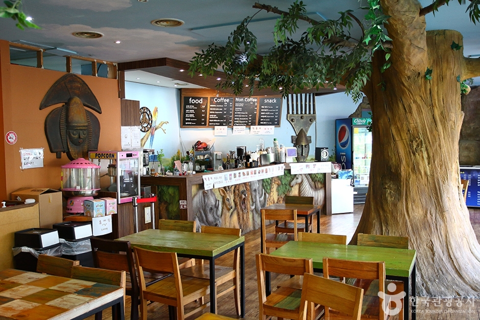 사파리 체험 테마파크 이미지 3