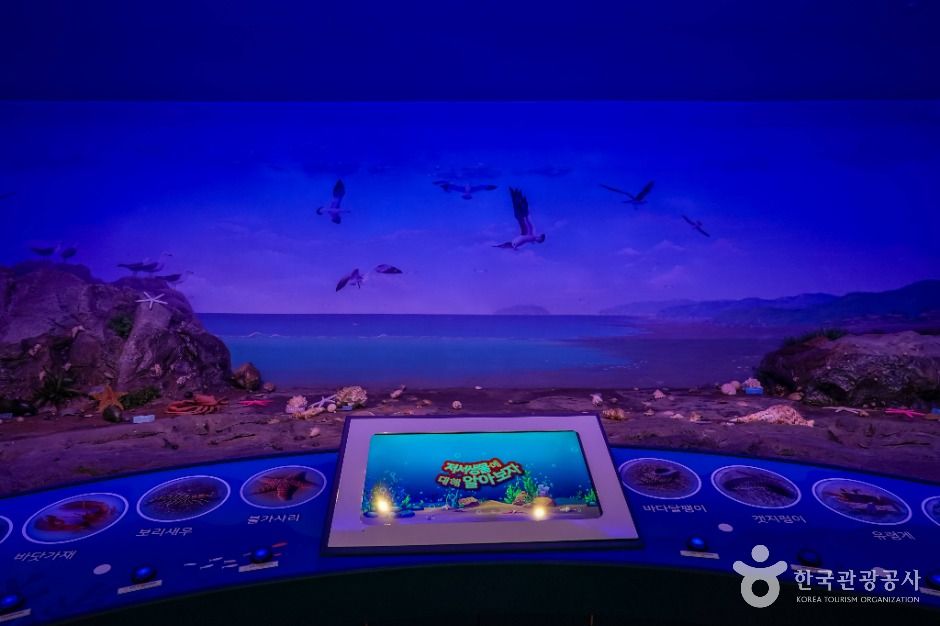 창원 해양생물테마파크 이미지 4