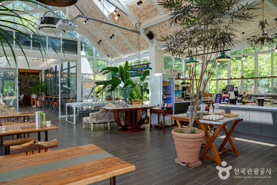 도토리숲 키즈파크 이미지 6