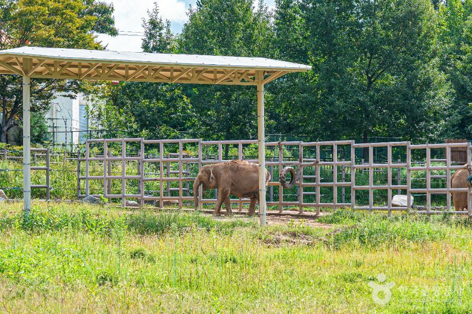 전주동물원 이미지 3