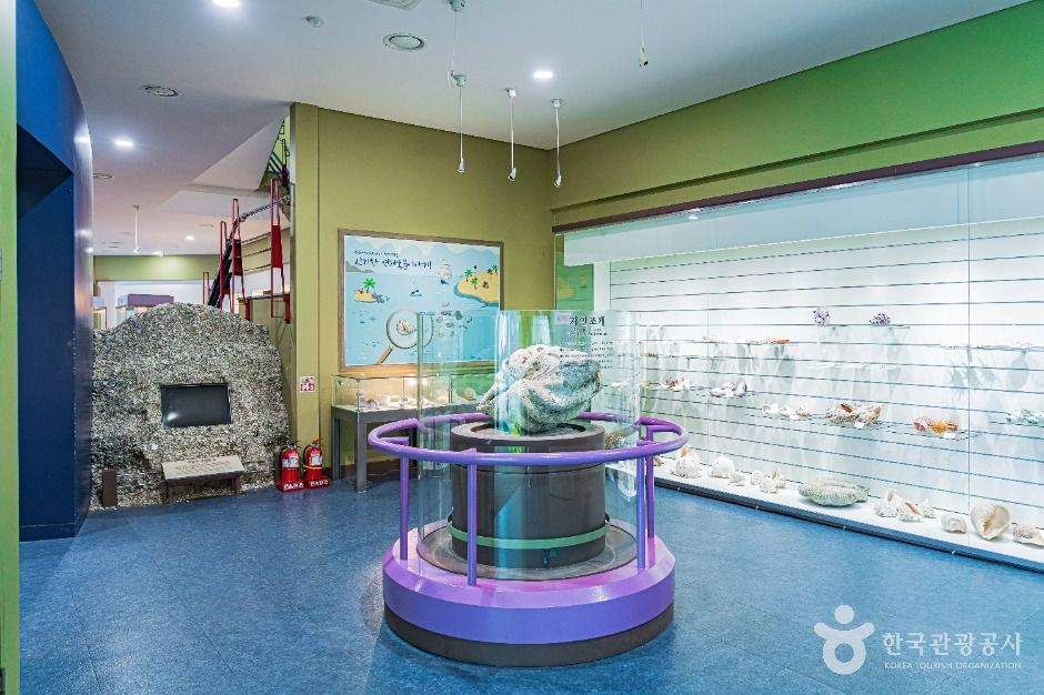 진도 해양생태관 이미지 6