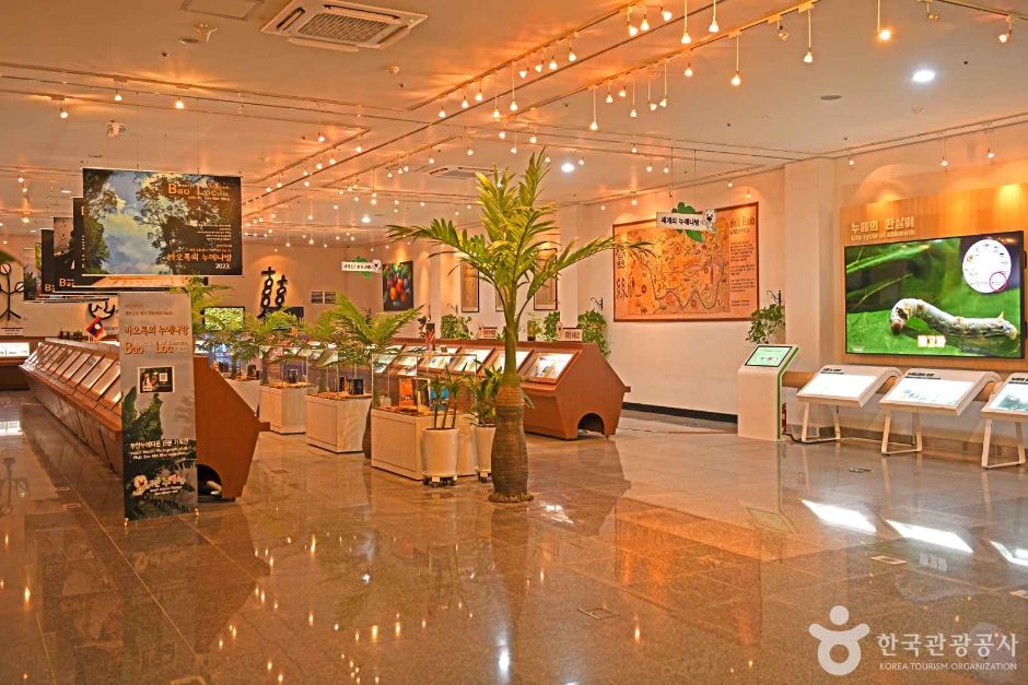 부안누에타운 이미지 2