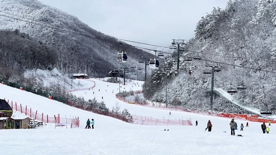 오투리조트 스키장 이미지 4