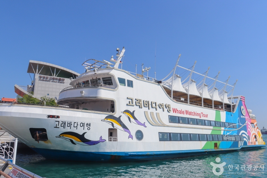 장생포 고래바다여행선 이미지 3