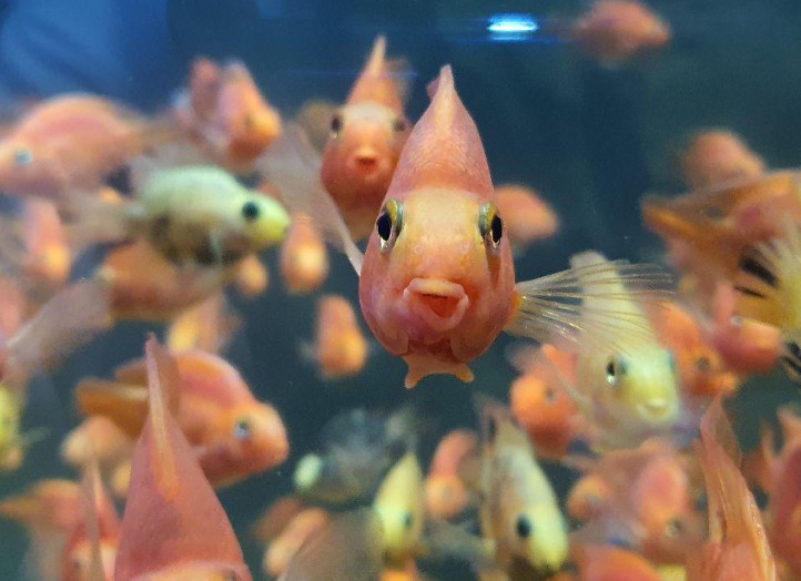 경남 아라마루 아쿠아리움 이미지 2