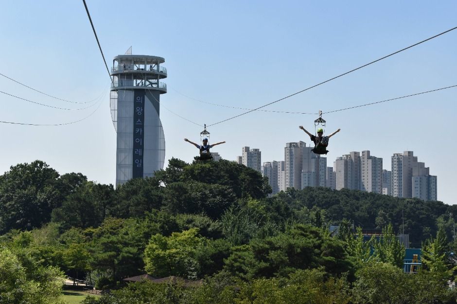 의왕 스카이레일 이미지 4