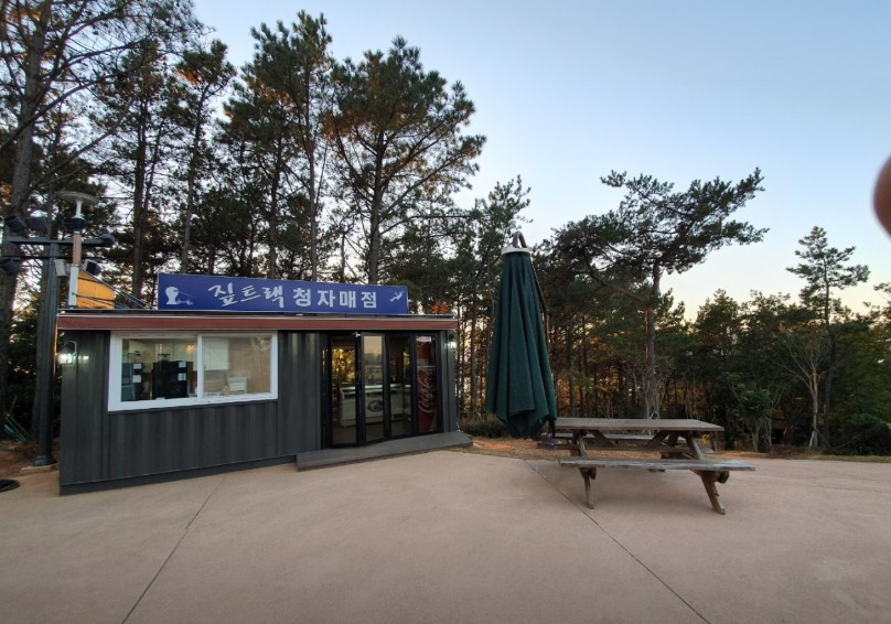 강진 짚트랙 이미지 9