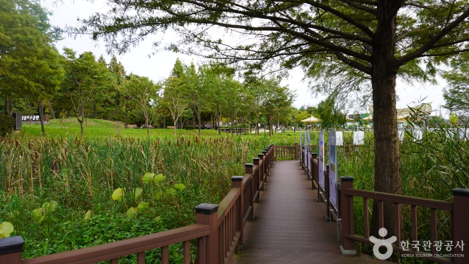 의왕 레일바이크 이미지 9