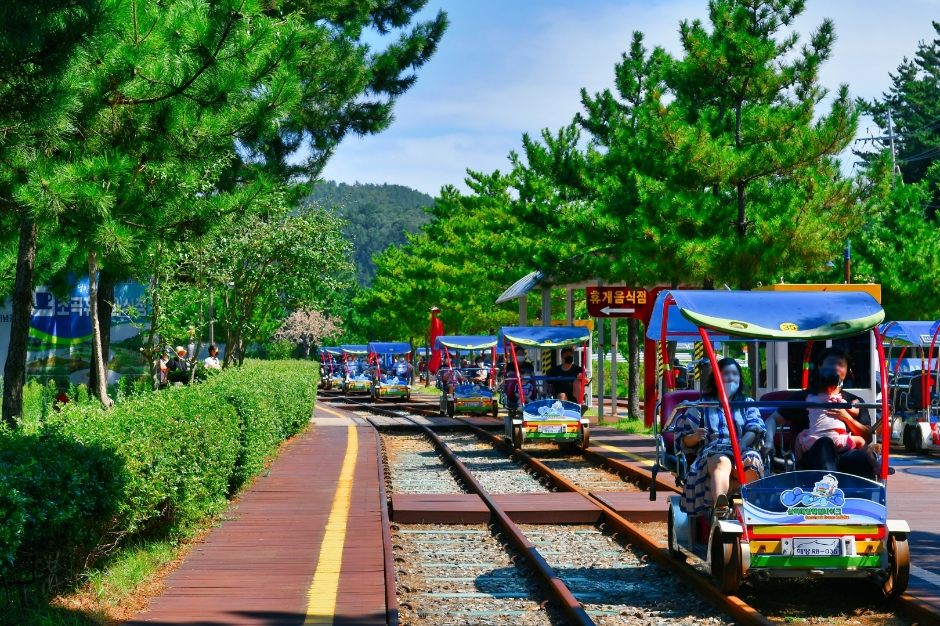 삼척 해양레일바이크 이미지 1