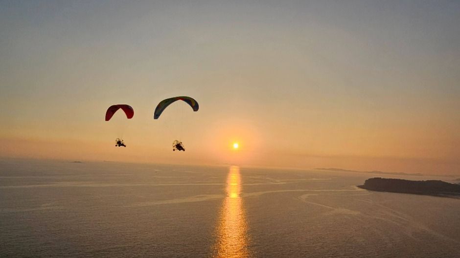 보령 다빈치동력패러 이미지 5