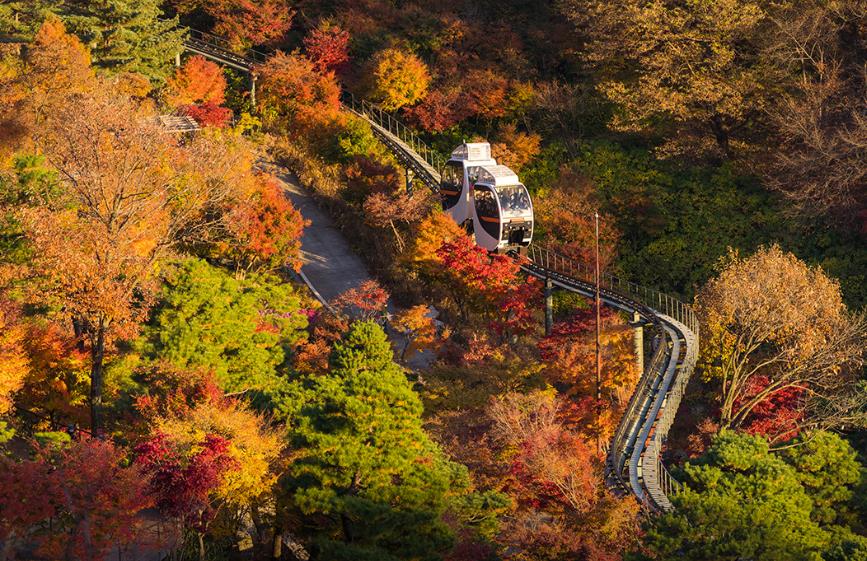 광주 화담숲 모노레일 이미지 9