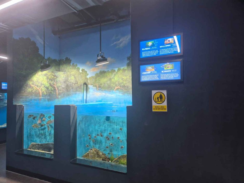 충북 괴산아쿠아리움_무료 이미지 5