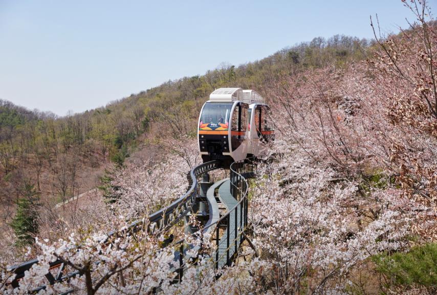 광주 화담숲 모노레일 이미지 1