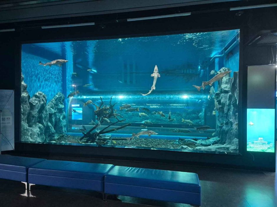 충북 괴산아쿠아리움_무료 이미지 4