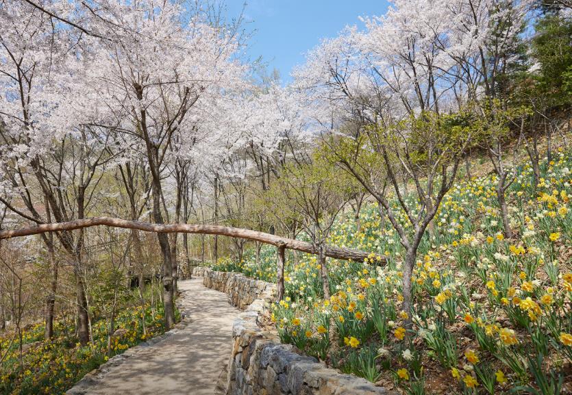 광주 화담숲 모노레일 이미지 6