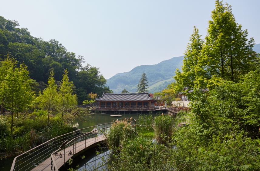 광주 화담숲 모노레일 이미지 10